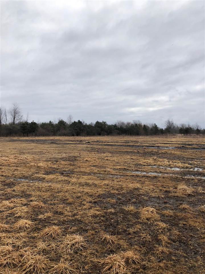 62-acres South Bard Road Gladwin, MI 48612 - Photo 8 of 9