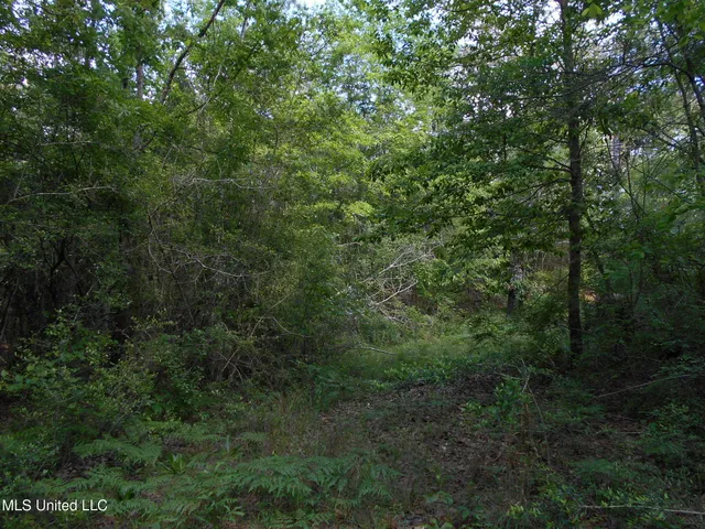 $745,900 | 540 Highway 43, Oak Vale, MS 39656