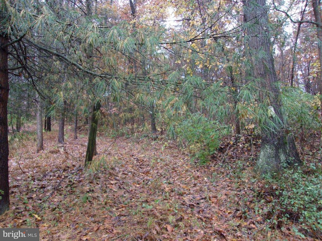 Lot 1 Husson Road Felton, PA 17322 - Photo 2 of 3