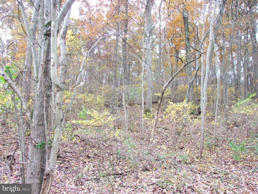 Lot 1 Husson Road Felton, PA 17322 - Photo 3 of 3