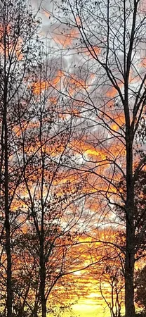 $2,499,000 | 7270 Old Franklin Road, Fairview, TN 37062