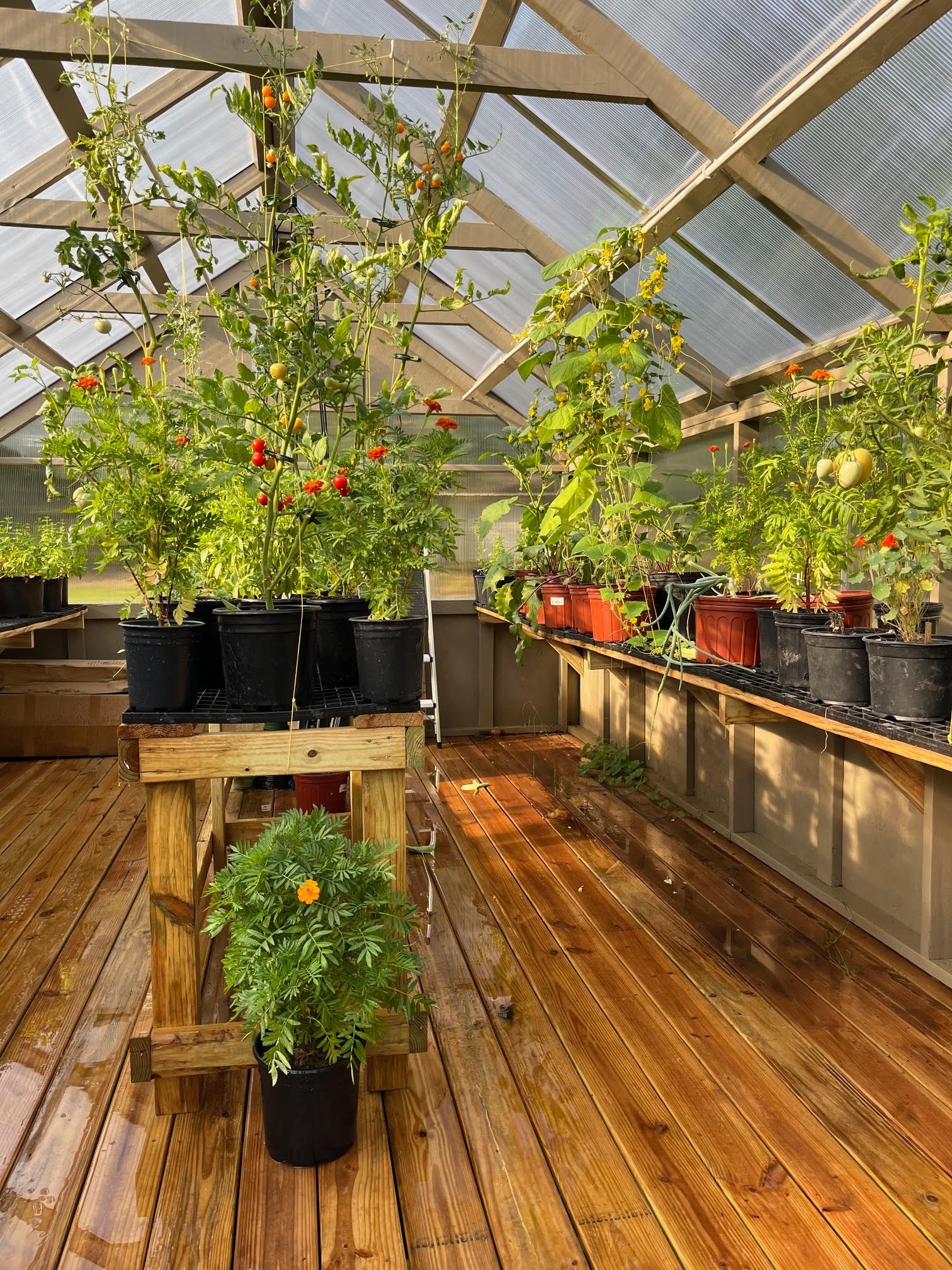 7270 Old Franklin Road Fairview, TN 37062 - Photo 85 of 96 a view of a balcony with wooden floor and potted plants