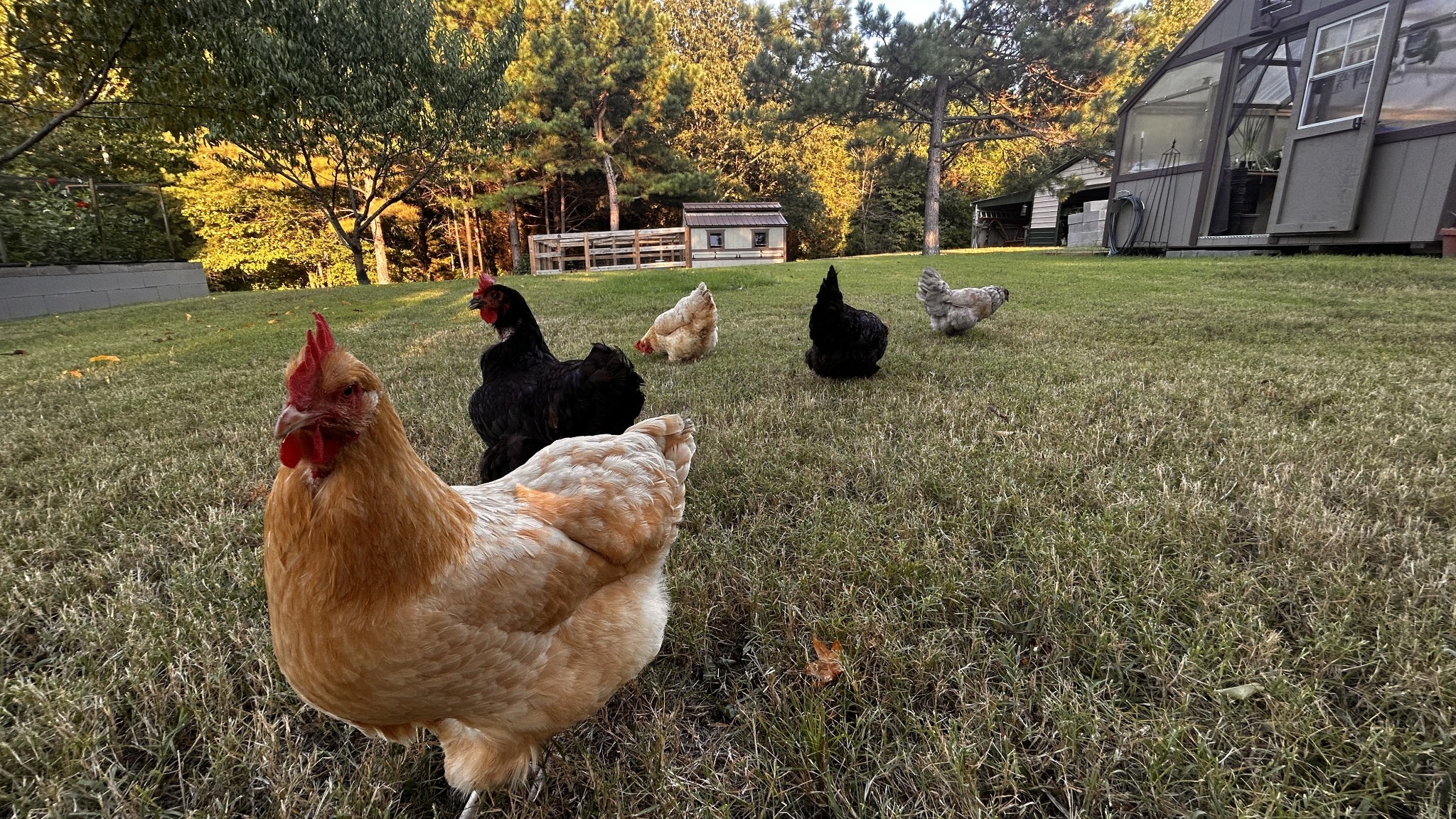 7270 Old Franklin Road Fairview, TN 37062 - Photo 86 of 97