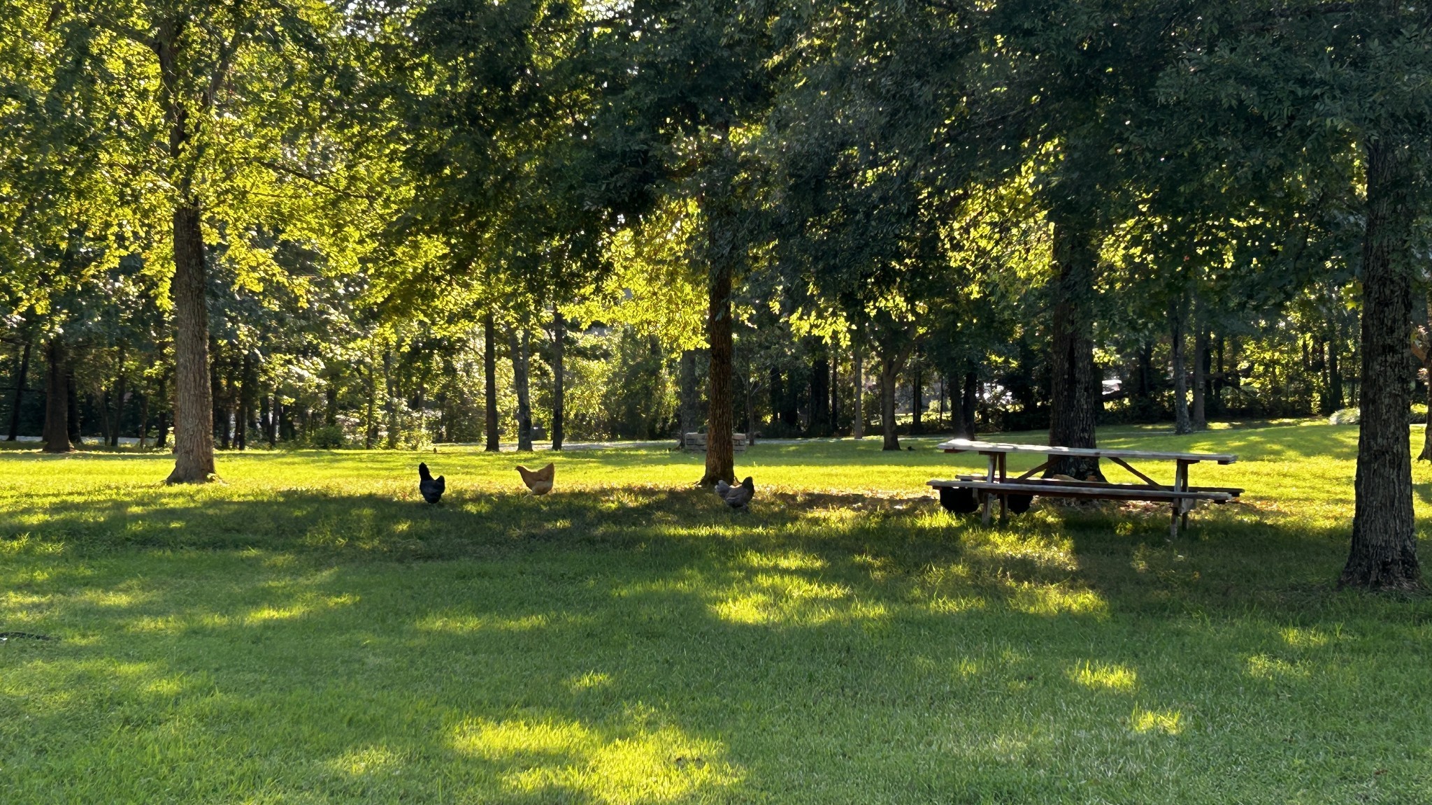 7270 Old Franklin Road Fairview, TN 37062 - Photo 88 of 97