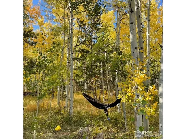 a backyard of a house with a garage and entertaining space
