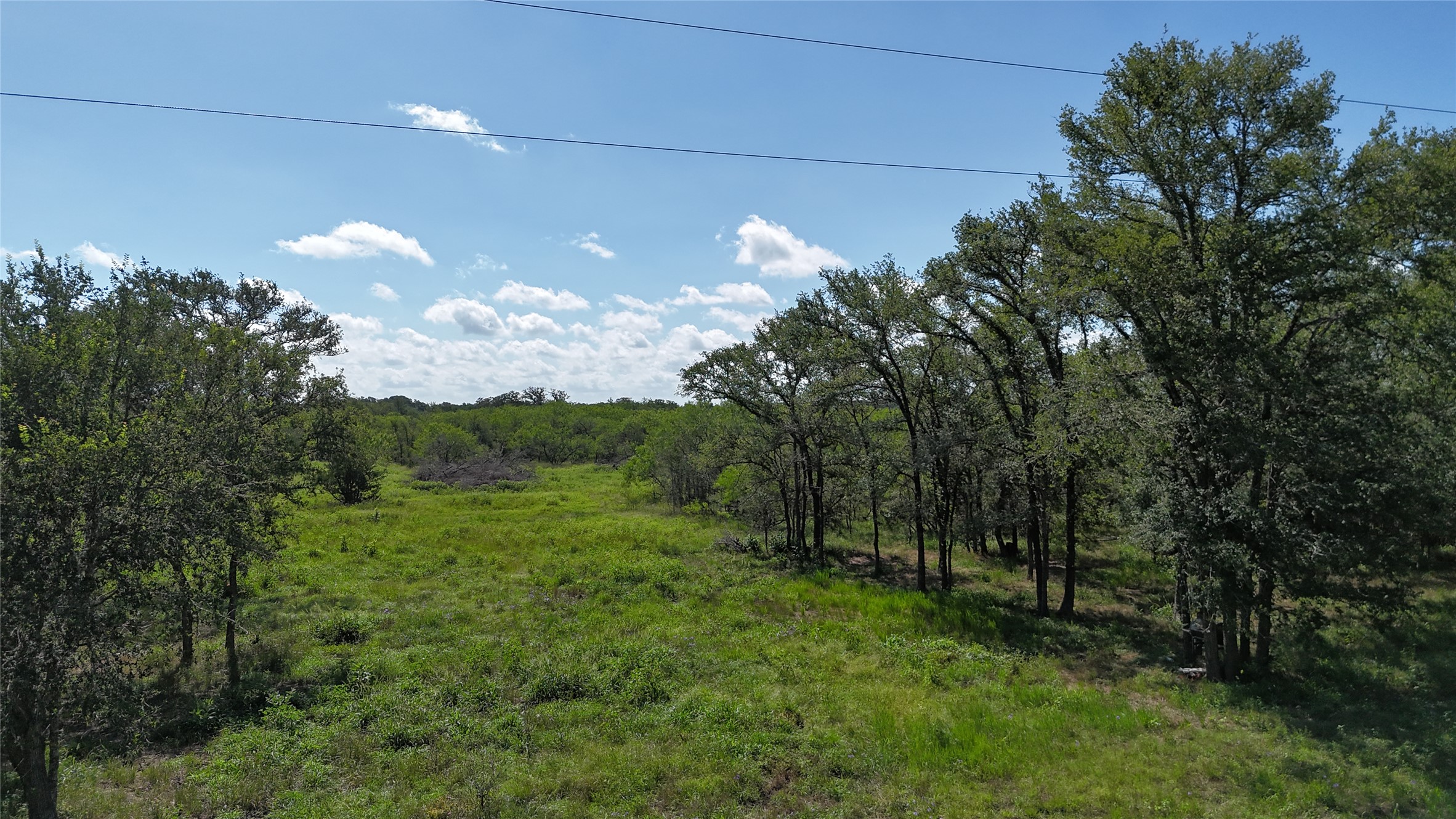 1554 Father Anders Loop Waelder, TX 78959 - Photo 3 of 9 Expansive property featuring mature trees and lush green vegetation under a clear sky