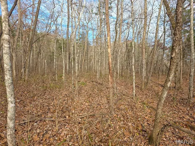 $365,000 | 416 Madison 416, Fredericktown, MO 63645