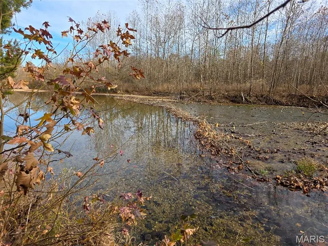 $365,000 | 416 Madison 416, Fredericktown, MO 63645