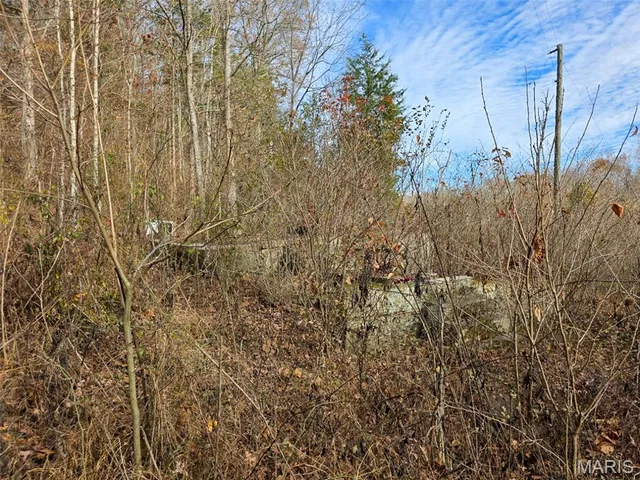 $365,000 | 416 Madison 416, Fredericktown, MO 63645