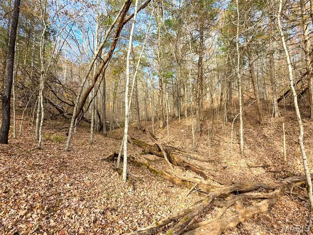 $365,000 | 416 Madison 416, Fredericktown, MO 63645