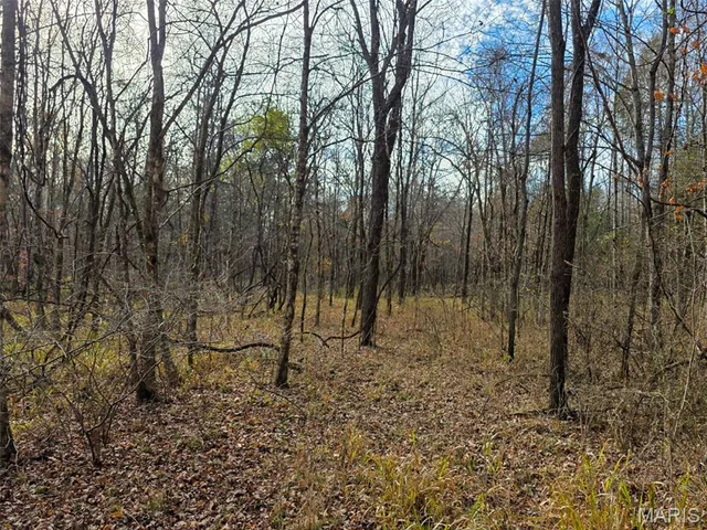 $365,000 | 416 Madison 416, Fredericktown, MO 63645