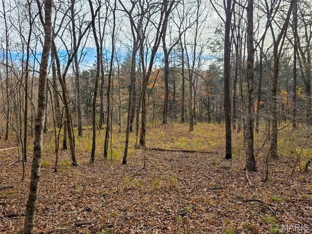 $365,000 | 416 Madison 416, Fredericktown, MO 63645