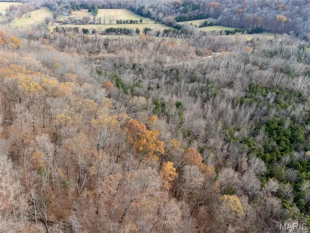 $365,000 | 416 Madison 416, Fredericktown, MO 63645