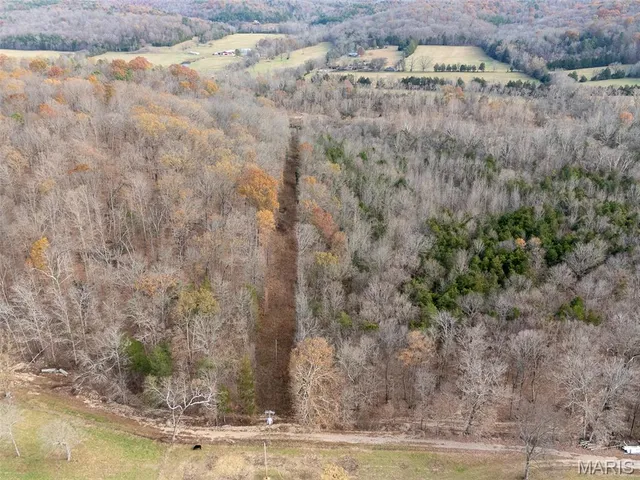 $365,000 | 416 Madison 416, Fredericktown, MO 63645