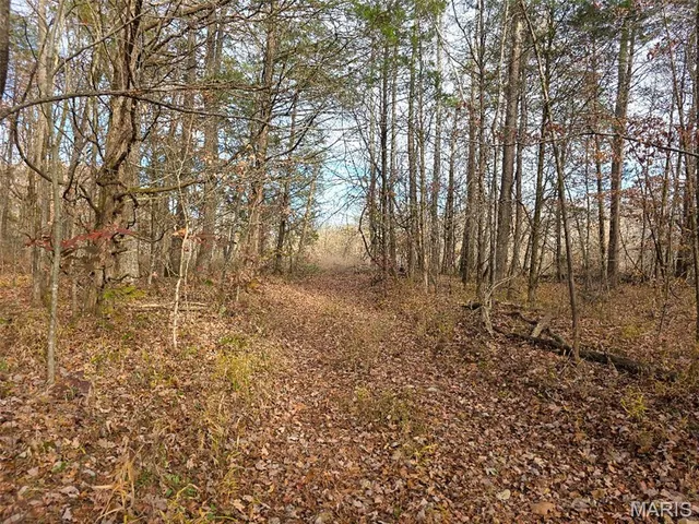 $365,000 | 416 Madison 416, Fredericktown, MO 63645