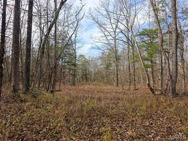 $365,000 | 416 Madison 416, Fredericktown, MO 63645