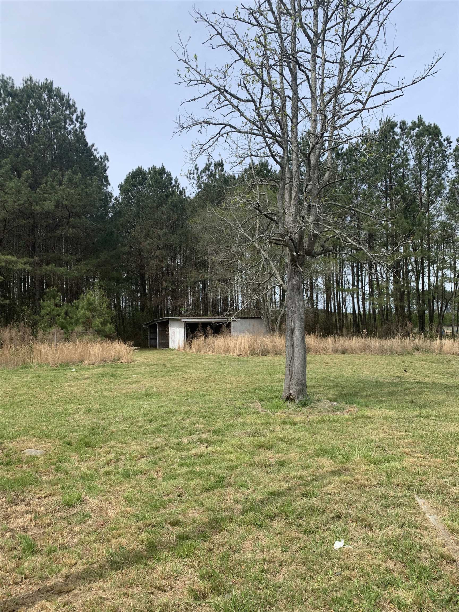 1305 Rhondale Road Selma, NC 27576 - Photo 15 of 18 Photo 17
