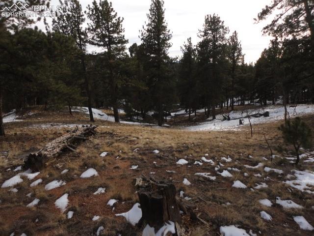 1006 Pinewood Road Florissant, CO 80816 - Photo 6 of 6