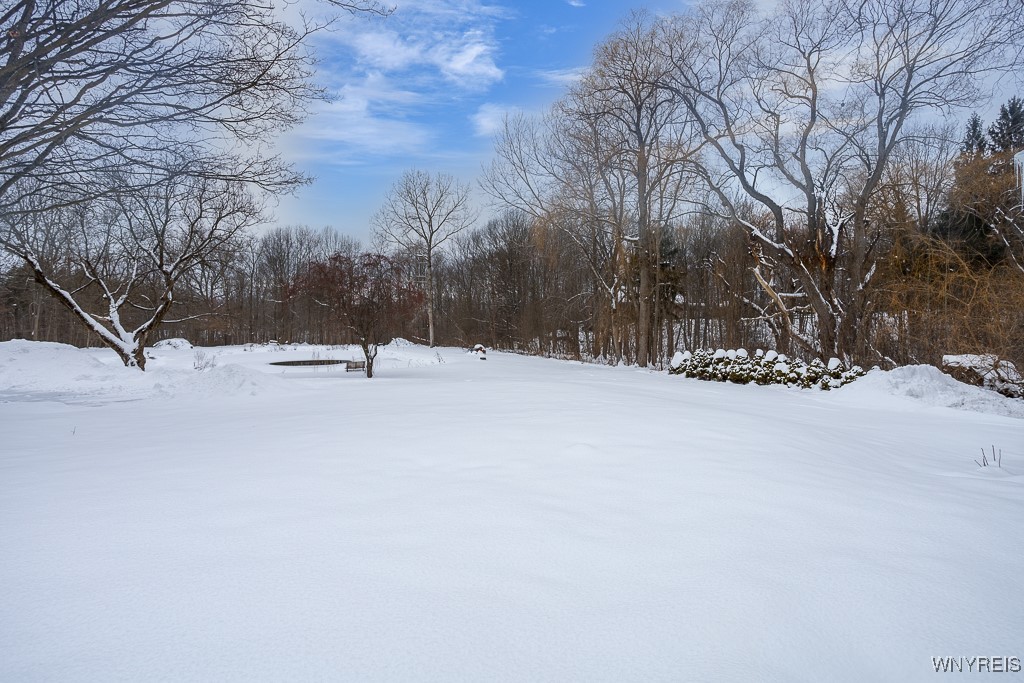 1090 Stolle Road Elma, NY 14059 - Photo 18 of 18