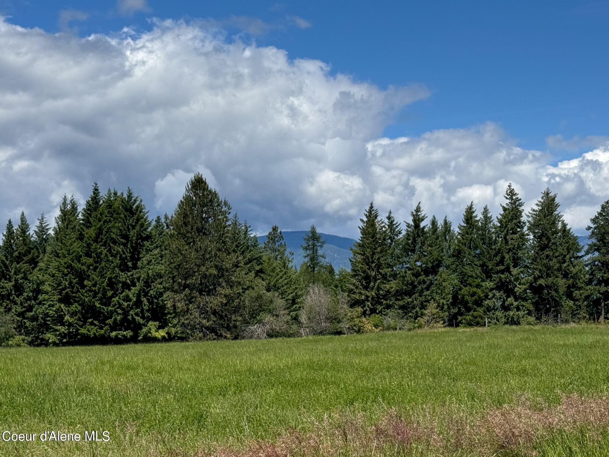 485 Stellar Jay Road Bonners Ferry, ID 83805 - Photo 5 of 16 IMG_2304a