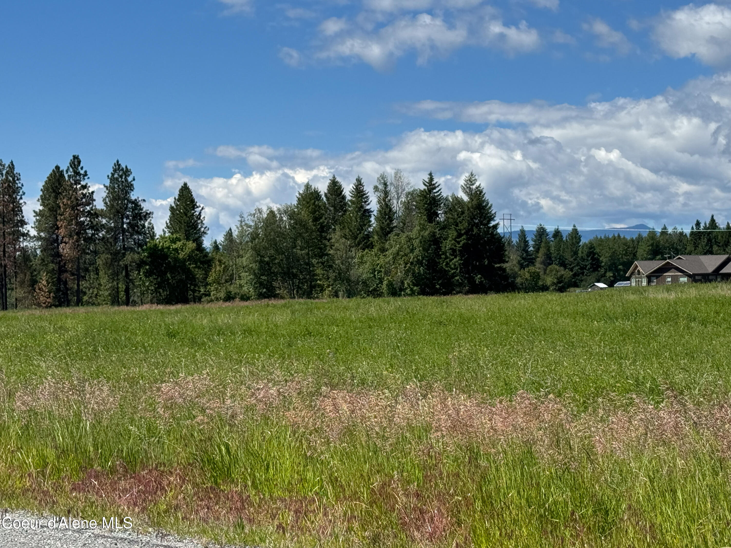 485 Stellar Jay Road Bonners Ferry, ID 83805 - Photo 7 of 16 IMG_2308