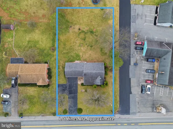 a view of a house with a yard and large tree