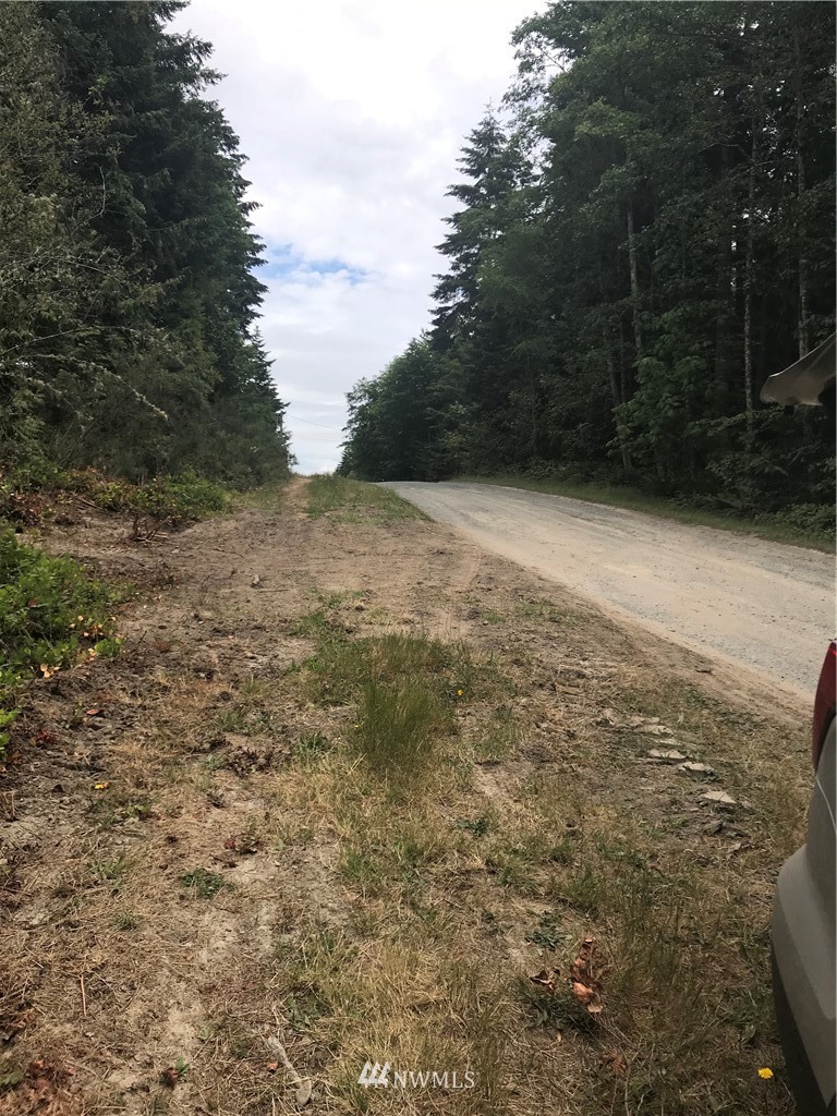 0 Lemmon Road Port Angeles, WA 98362 - Photo 2 of 9