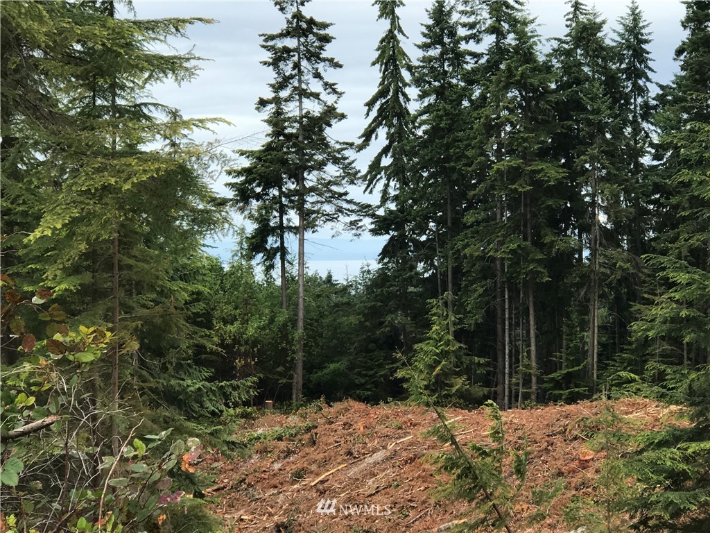 0 Lemmon Road Port Angeles, WA 98362 - Photo 3 of 9