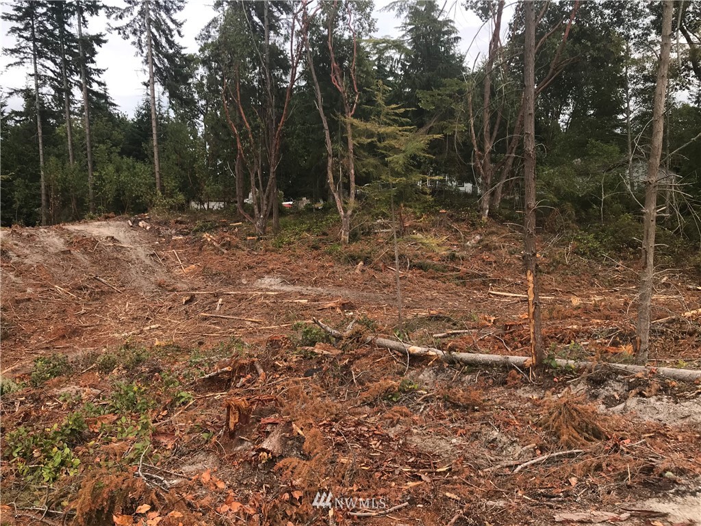 0 Lemmon Road Port Angeles, WA 98362 - Photo 4 of 9