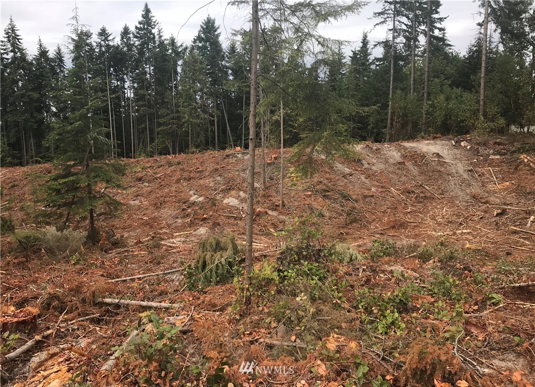 0 Lemmon Road Port Angeles, WA 98362 - Photo 5 of 9