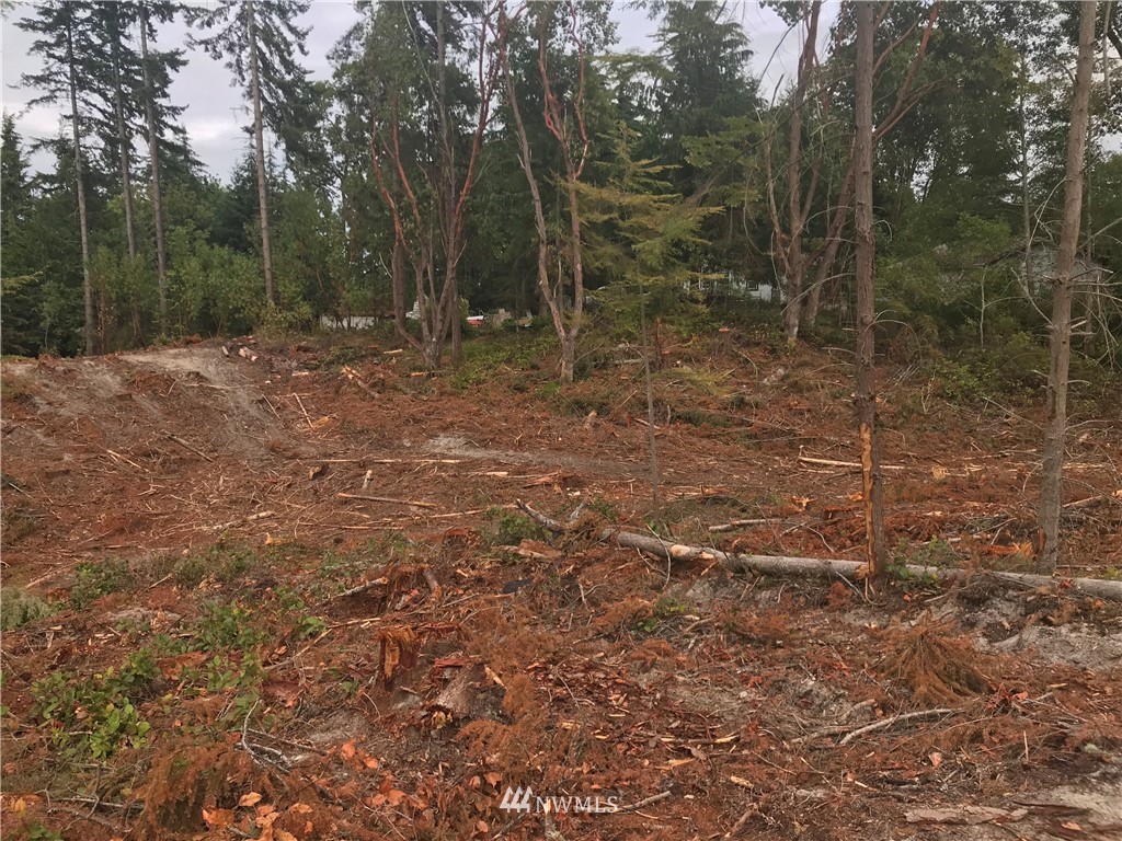 0 Lemmon Road Port Angeles, WA 98362 - Photo 8 of 9