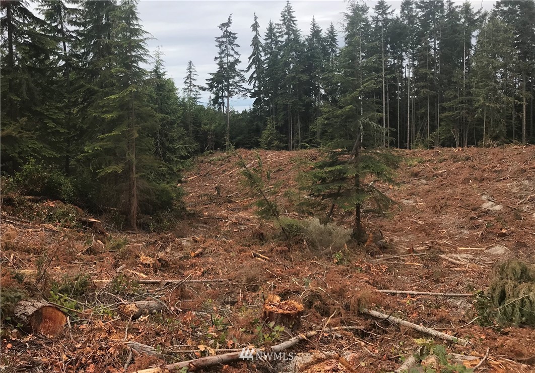0 Lemmon Road Port Angeles, WA 98362 - Photo 9 of 9