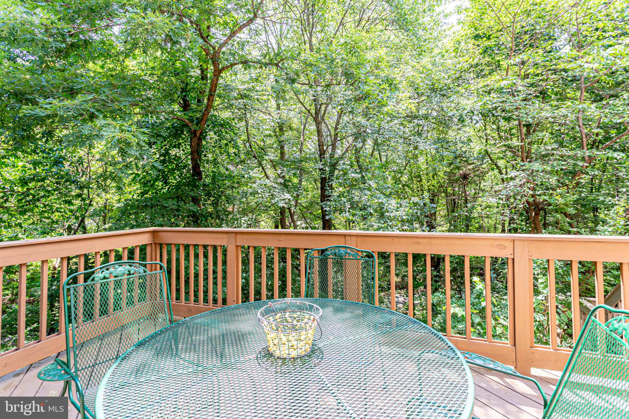 1536 Deer Point Way Reston, VA 20194 - Photo 13 of 53 Plenty of trees!