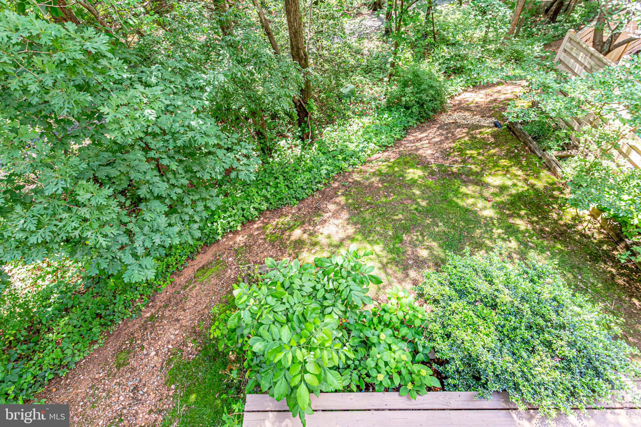 1536 Deer Point Way Reston, VA 20194 - Photo 14 of 53 View from upper deck