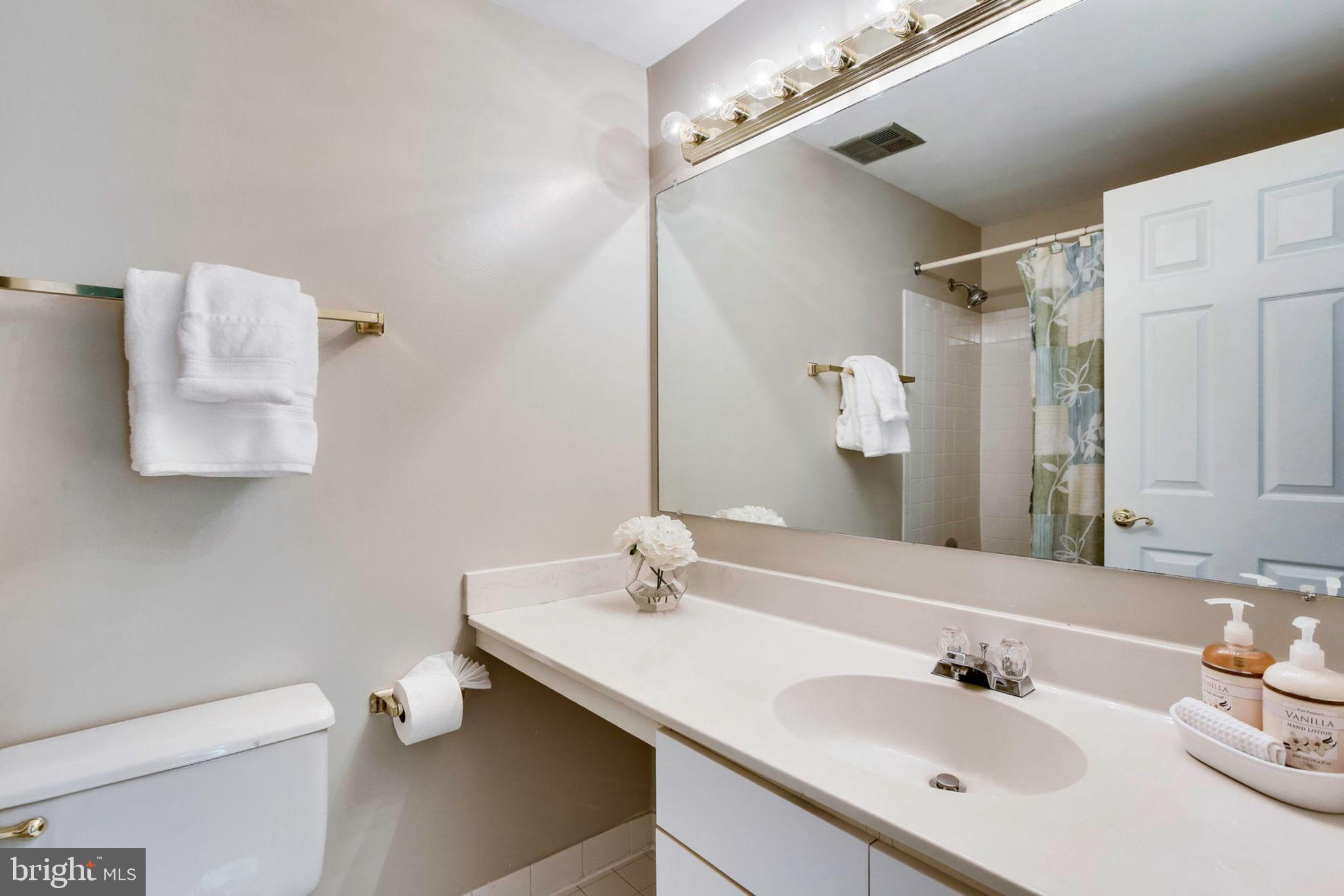 1536 Deer Point Way Reston, VA 20194 - Photo 33 of 53 Second bathroom