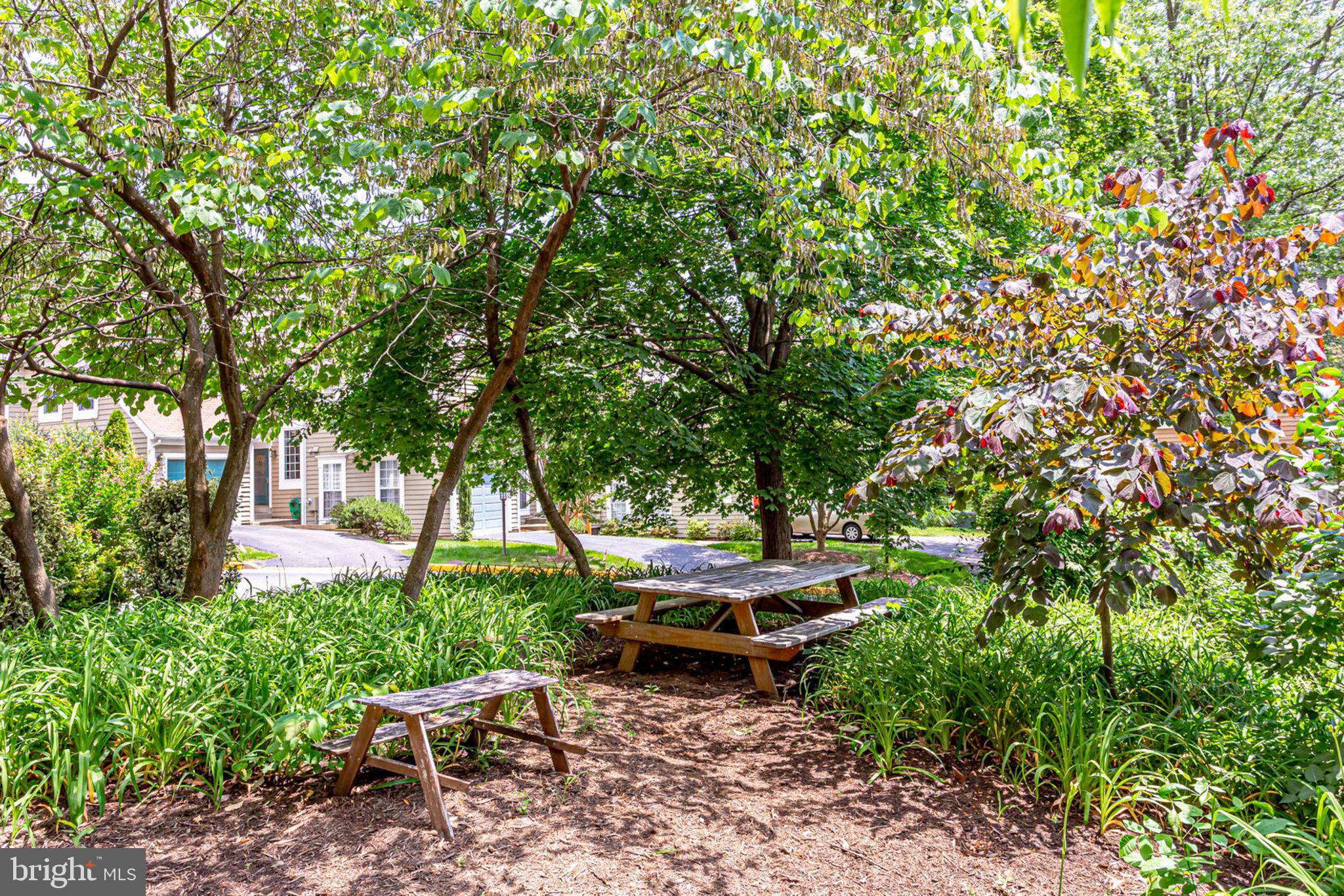 1536 Deer Point Way Reston, VA 20194 - Photo 46 of 53 Community Picnic area