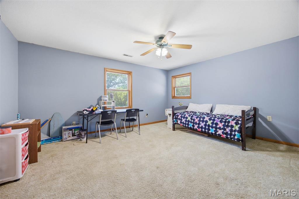 169 Highway 128 Cowden, IL 62422 - Photo 21 of 55
