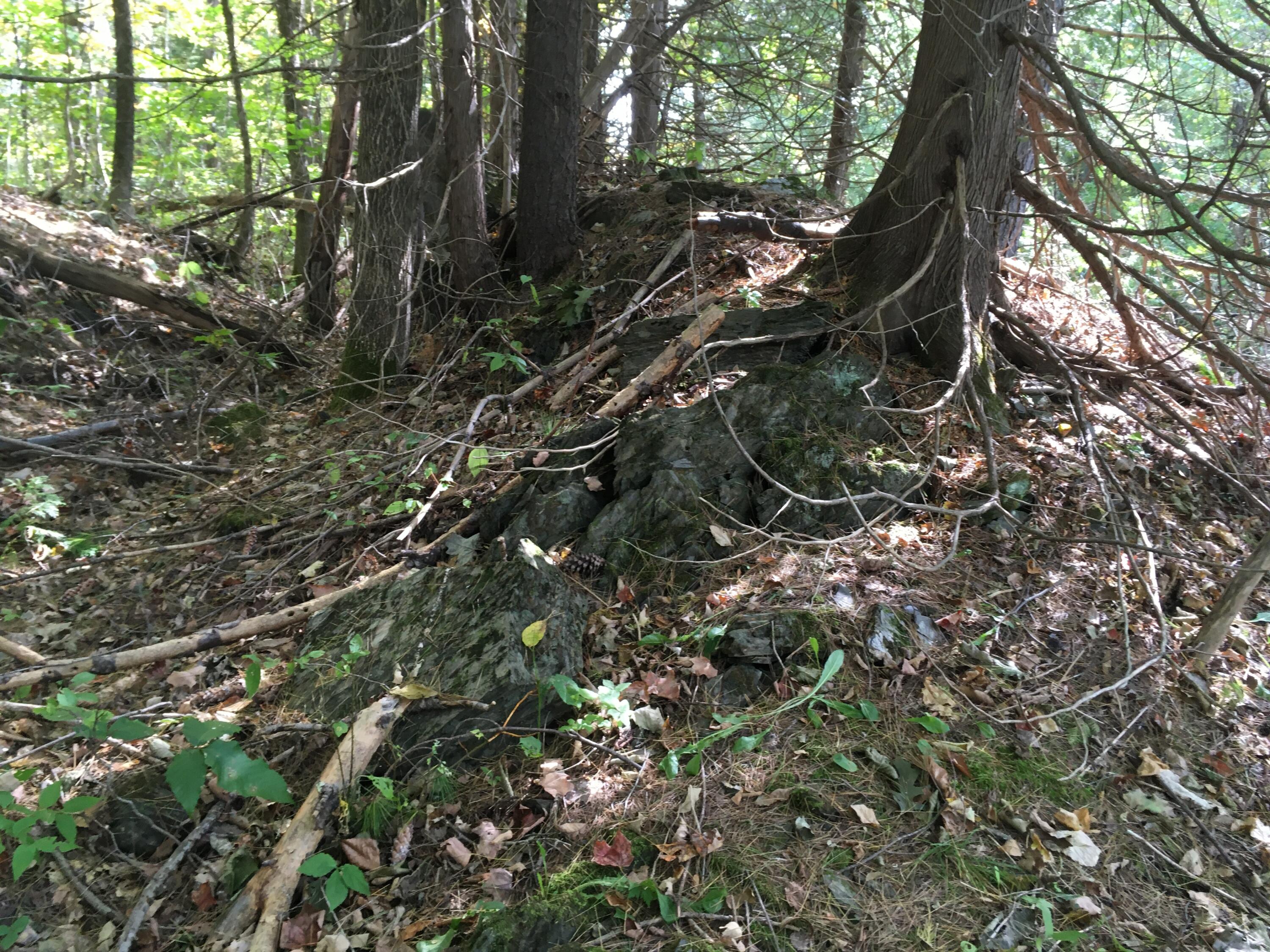 19 X Streamview Drive Harmony, ME 04942 - Photo 2 of 10 IMG_7487