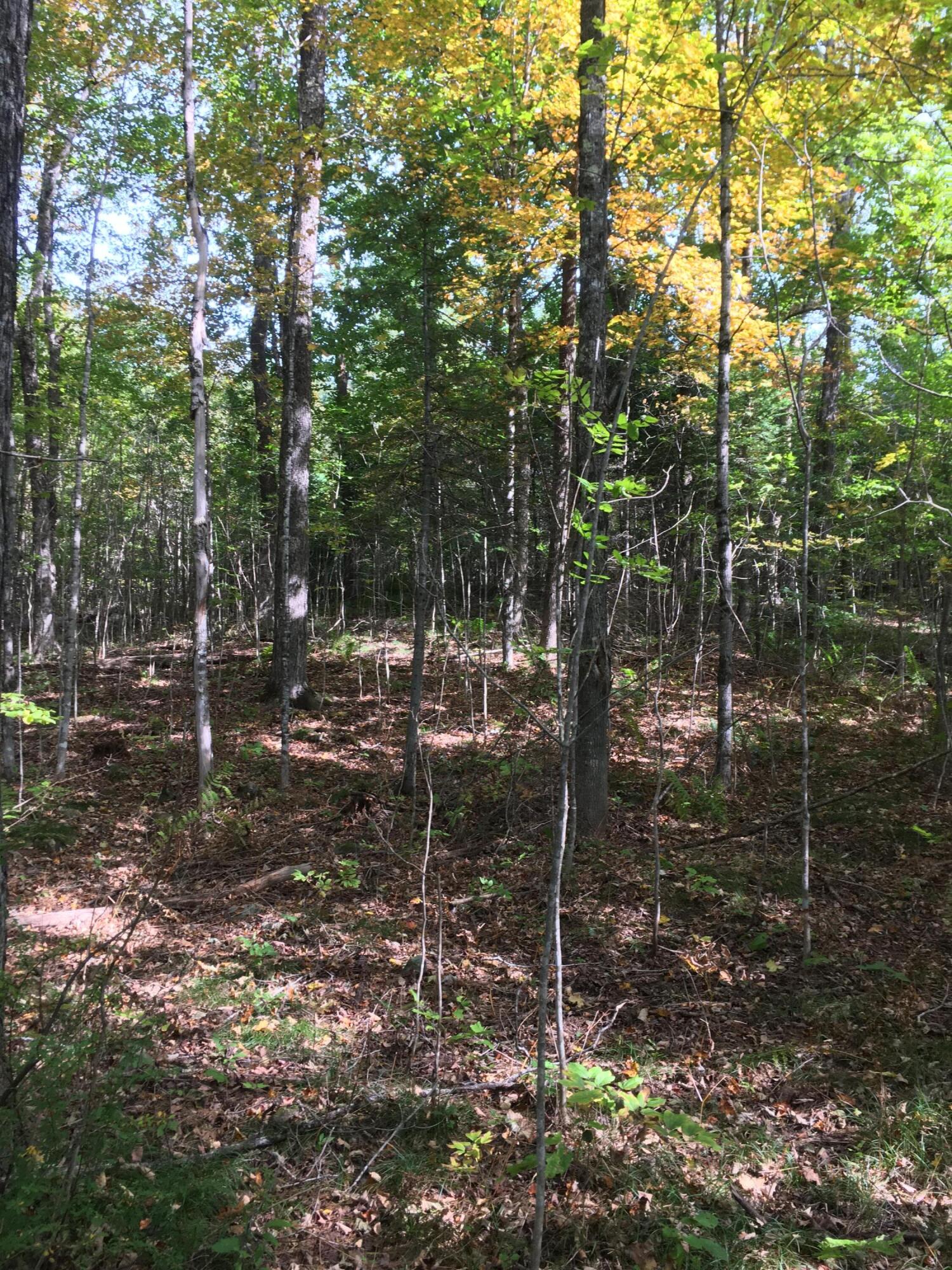 19 X Streamview Drive Harmony, ME 04942 - Photo 4 of 10 IMG_7500