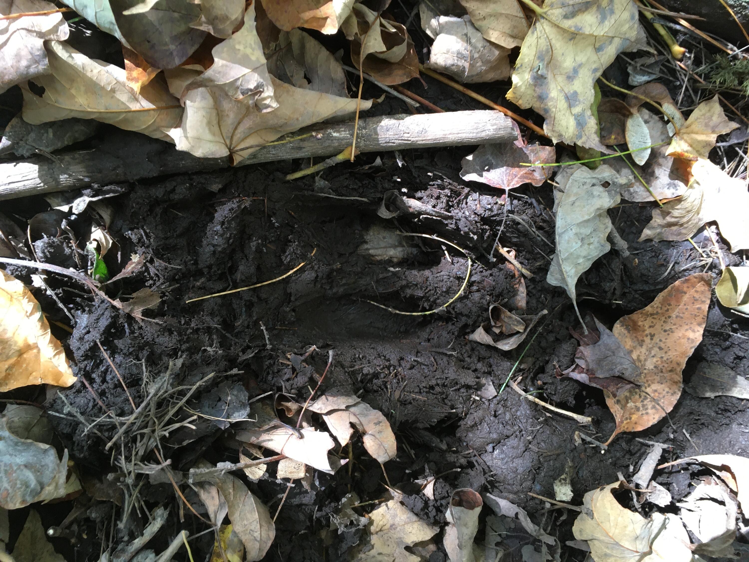 19 X Streamview Drive Harmony, ME 04942 - Photo 5 of 10 IMG_7503