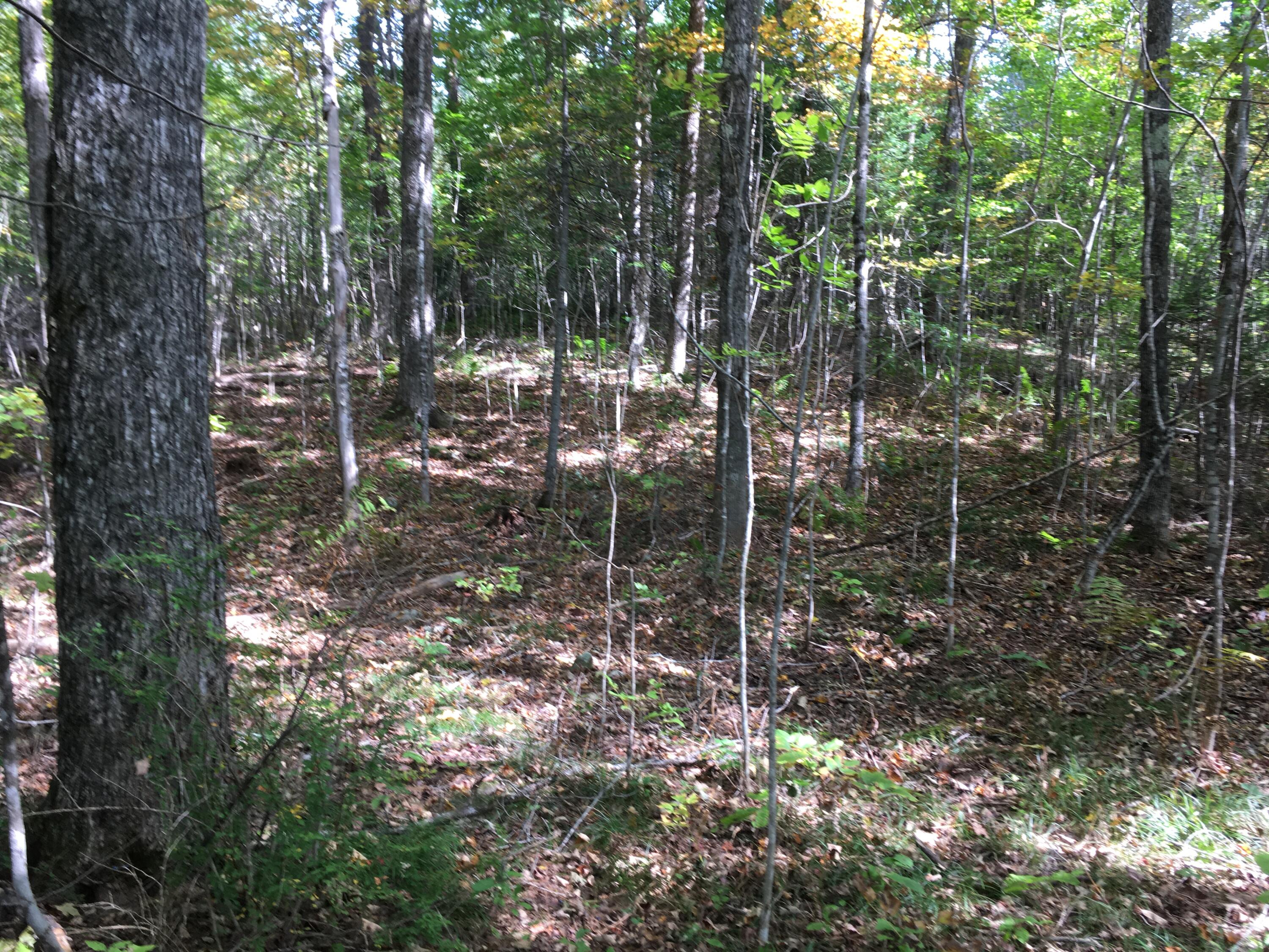 19 X Streamview Drive Harmony, ME 04942 - Photo 6 of 10 IMG_7495