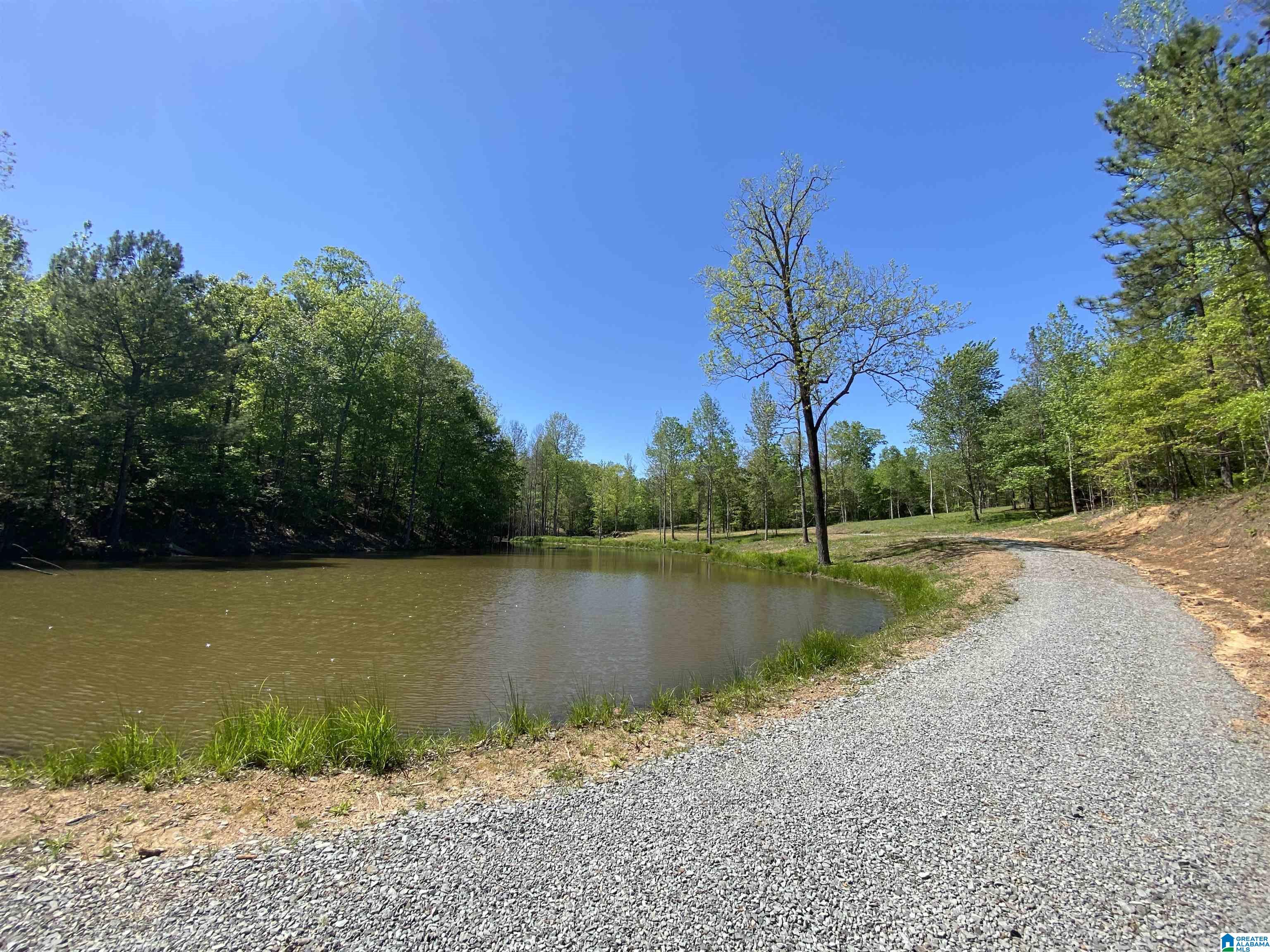 8346 Serene Lake Road McCalla, AL 35111 - Photo 4 of 24