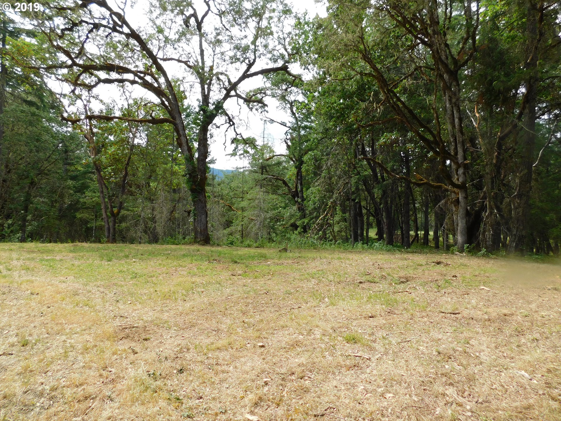 0 Melqua Road Umpqua, OR 97486 - Photo 8 of 20 Gallery Image 8