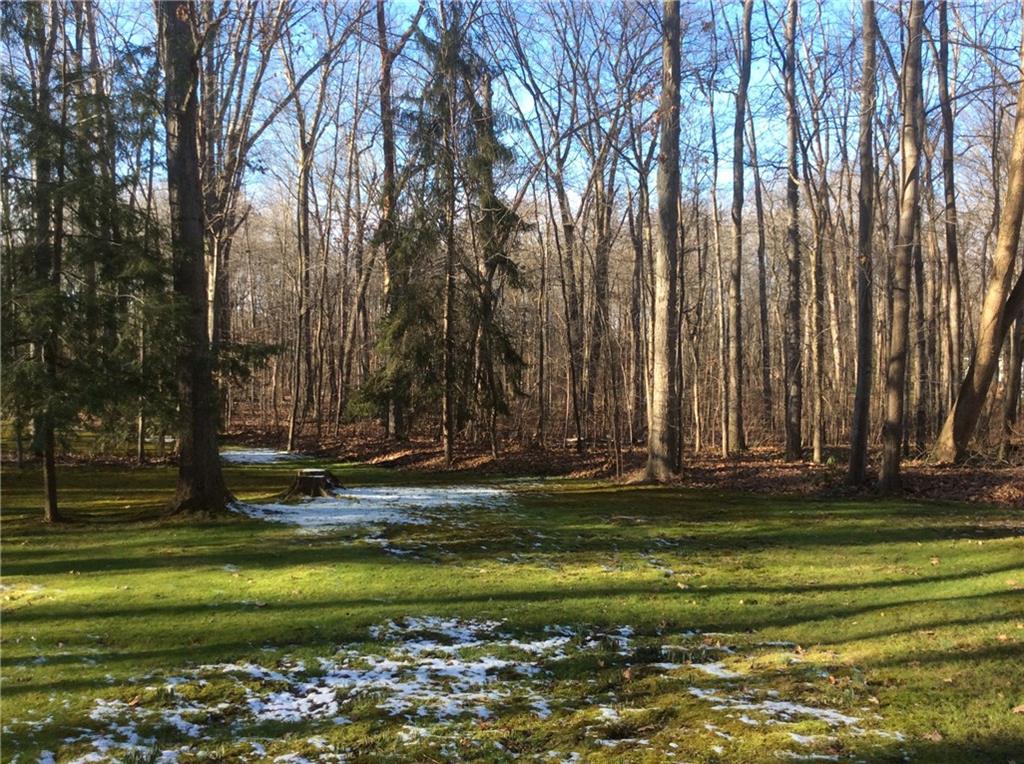 119 Forrest Road New Castle, PA 16105 - Photo 16 of 20