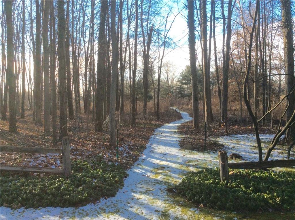 119 Forrest Road New Castle, PA 16105 - Photo 10 of 20 Lovely path to rear garden area