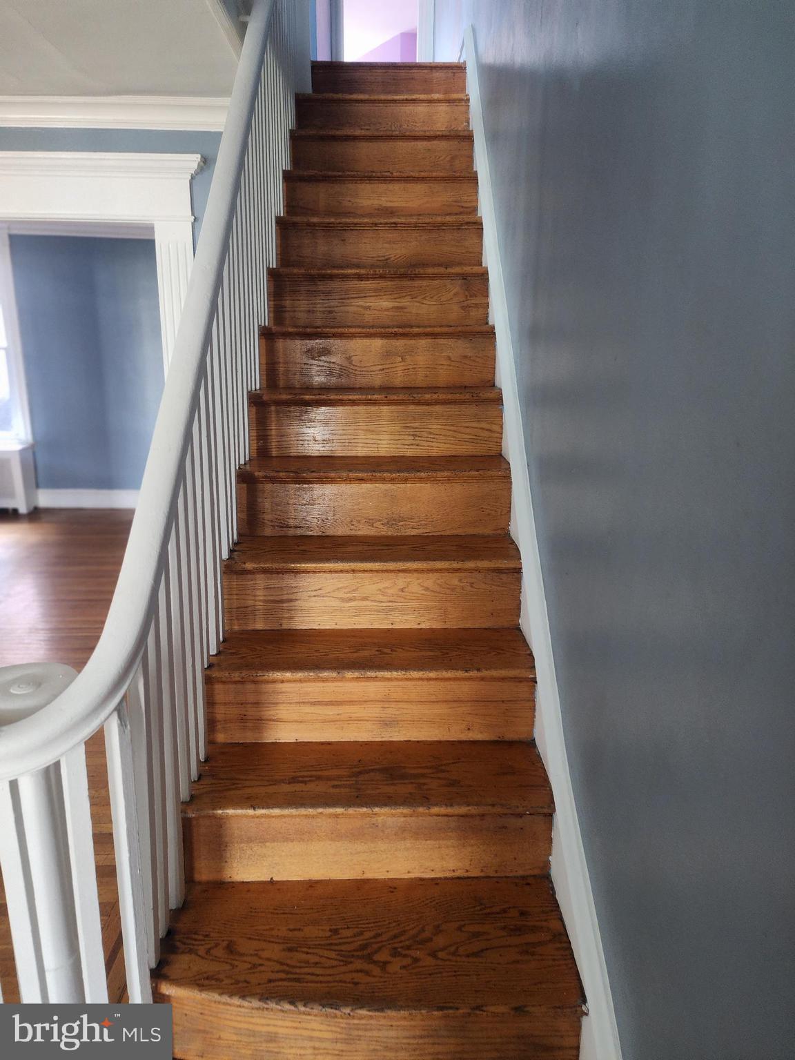 252 Avon Road Upper Darby, PA 19082 - Photo 8 of 38