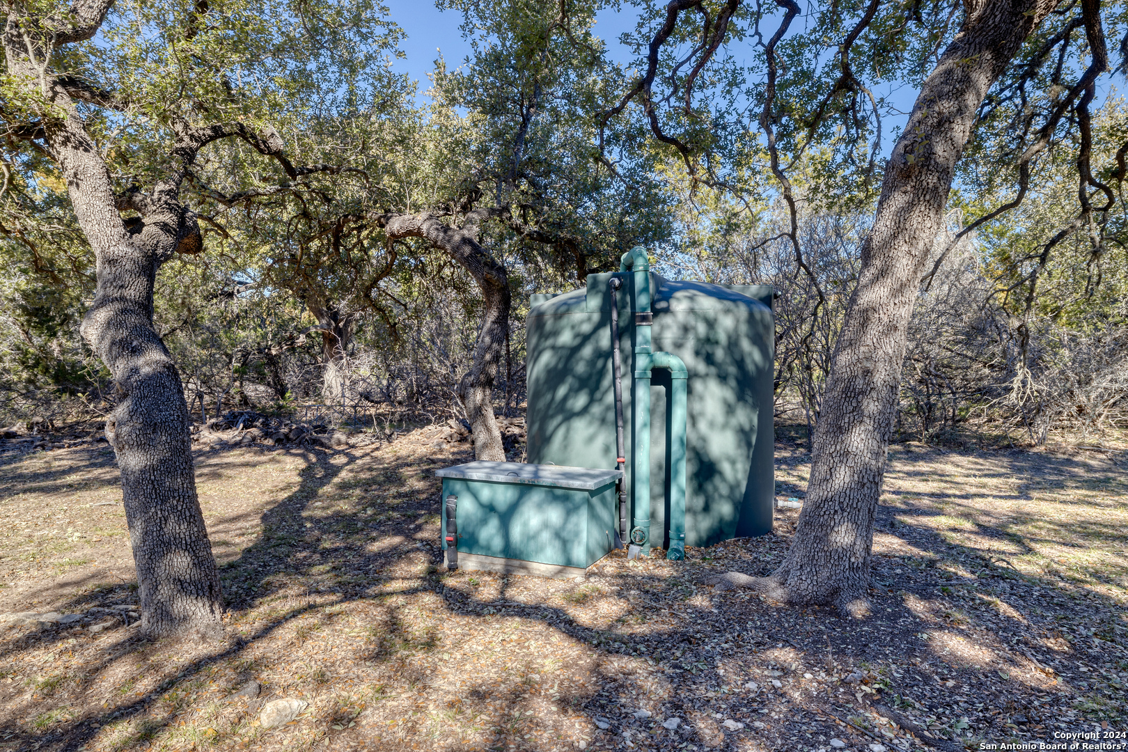 93 North Saddle Mountain Road Rio Frio, TX 78879 - Photo 13 of 50 a view of a tree in the yard