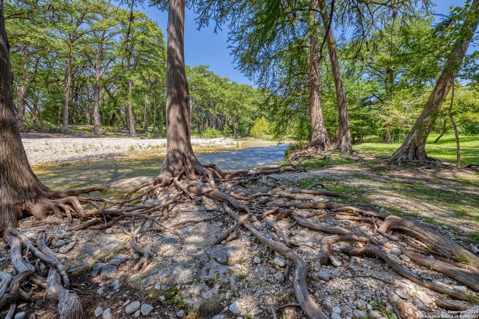 93 North Saddle Mountain Road Rio Frio, TX 78879 - Photo 48 of 50 a view of a yard with plants and trees