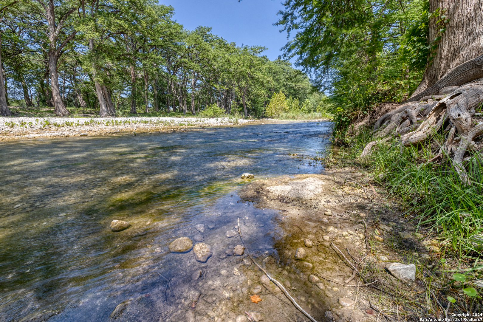 93 North Saddle Mountain Road Rio Frio, TX 78879 - Photo 50 of 50 a view of a yard with plants and trees