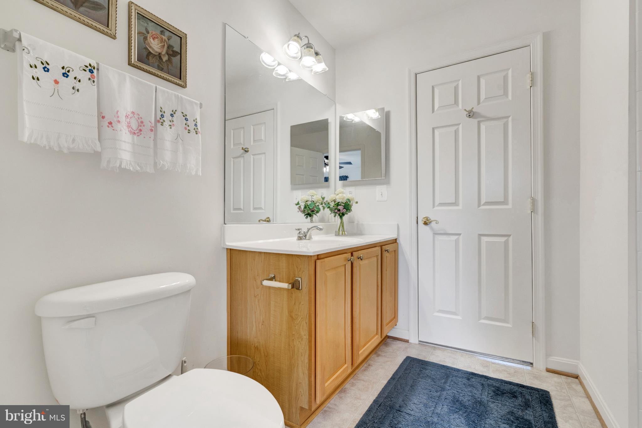 842 Kingsbrook Road Culpeper, VA 22701 - Photo 16 of 30 a bathroom with a granite countertop sink toilet and shower